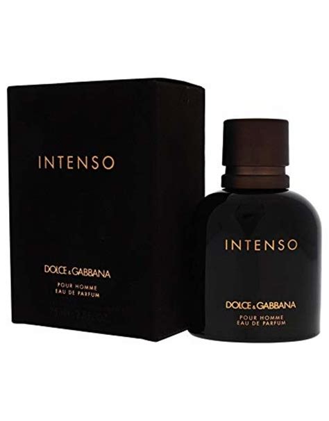 intenso dolce gabbana avis|intenso Dolce & Gabbana 100 ml.